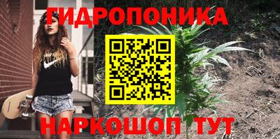 apvp Коммунар