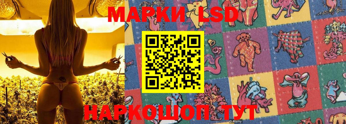 Волгодонск  Марки NBOMe 1,5мг  Марки 25I-NBOMe  Марки NBOMe 1,5мг  Вход с VPN 