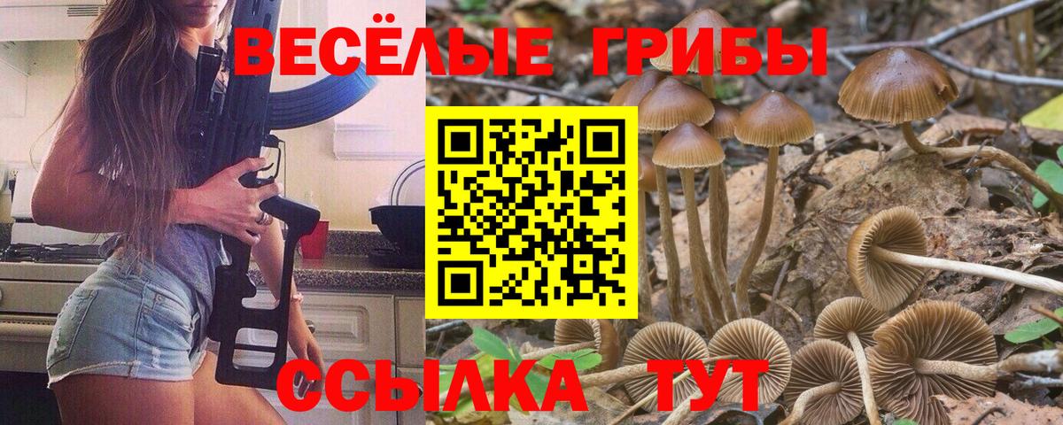купить   Галлюциногенные грибы MAGIC MUSHROOMS  Волгодонск  Вход с VPN  Псилоцибиновые грибы ЛСД 
